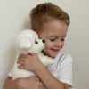 David R. verified customer from Sacramento CA